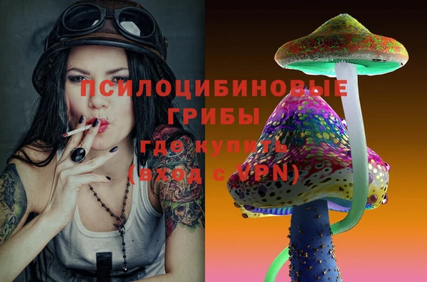 дживик Абинск