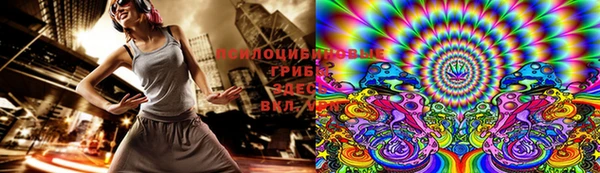 прущие грибы Елизово