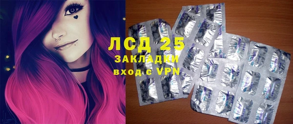 дживик Абинск