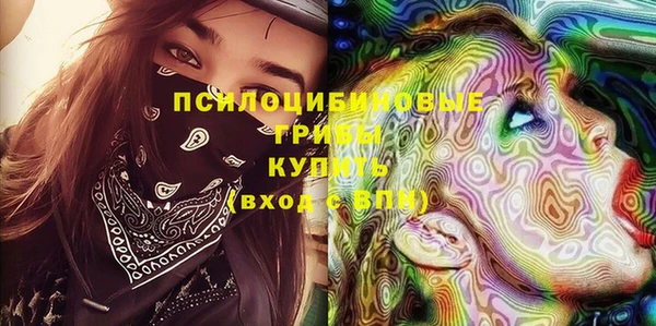 mdpv Ельня
