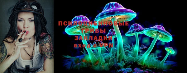 apvp Абаза